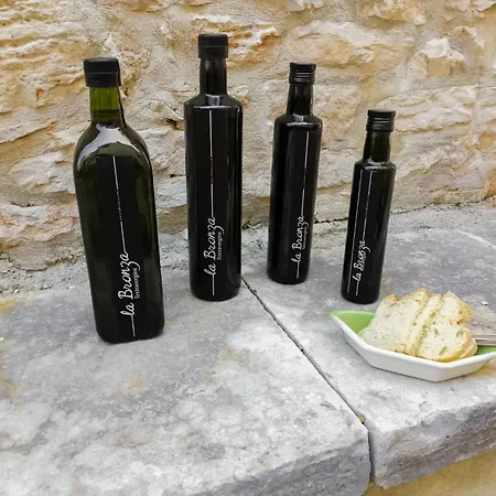 Forlani-1 By Interhome Vodnjan